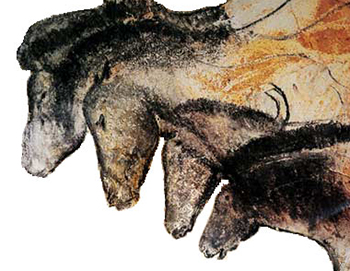 Horses Chauvet Cave Painting